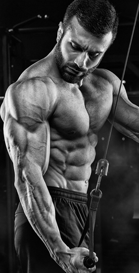 Muscle Feel Nutrition